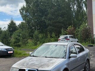 2001 Skoda Octavia I (A4) Рестайлинг, серый, 300000 рублей, вид 1