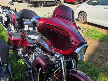 2012 Harley-Davidson CVO Street Glide Limited, пурпурный, 1500000 рублей, вид 2