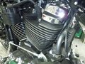 2024 Harley-Davidson Breakout, чёрный, 2190000 рублей - вид 6