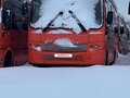 2017 ПАЗ Вектор 8.8, оранжевый, 600000 рублей