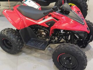 2024 CFMoto CFORCE 110, красный, 299900 рублей, вид 4