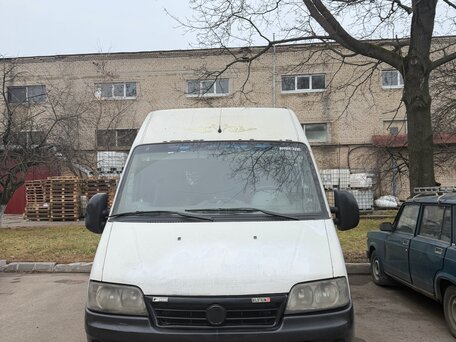 2010 Fiat Professional Ducato, белый, 480000 рублей, вид 1