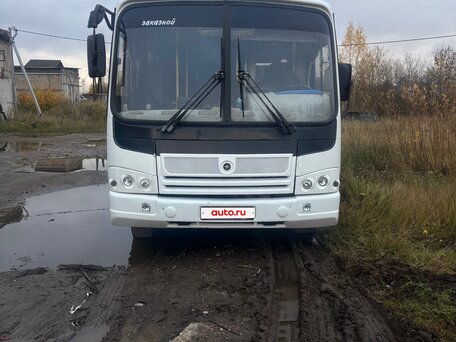 2010 ПАЗ 3204, белый, 720000 рублей, вид 1
