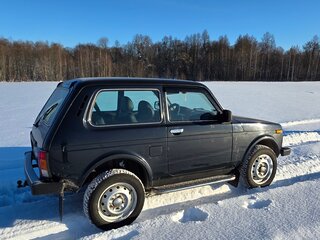 2013 Lada (ВАЗ) 2121 (4x4) I Рестайлинг, зелёный, 600000 рублей, вид 5
