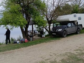 2010 Nissan Navara (Frontier) III (D40) Рестайлинг, серый, 1000000 рублей, вид 2