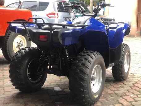 2012 Yamaha Grizzly 700, синий, 1236000 рублей, вид 4