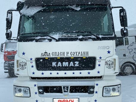 2020 КамАЗ 5490, белый, 3390000 рублей, вид 1