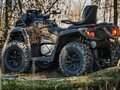 2025 AODES (Odes) Pathcross 1000 Mud Pro, коричневый, 1507000 рублей - вид 4