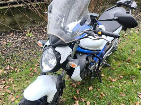 2012 Suzuki SFV 650 Gladius, белый, 550000 рублей, вид 4