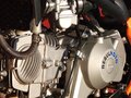 2024 Regulmoto Seven Medalist 150E, оранжевый, 99999 рублей - вид 2