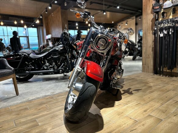 2023 Harley-Davidson Fat Boy, пурпурный, 3550000 рублей - вид 6