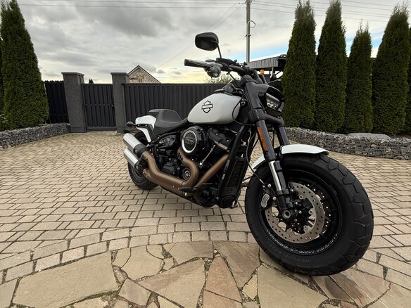 2019 Harley-Davidson Fat Bob, белый, 1480000 рублей - вид 18