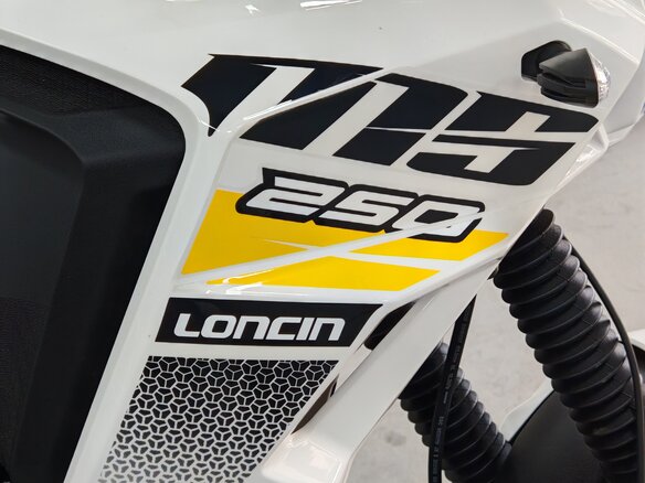 2026 Loncin MS250, белый, 179900 рублей - вид 16