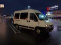 2010 Fiat Professional Ducato, белый, 690000 рублей - вид 11