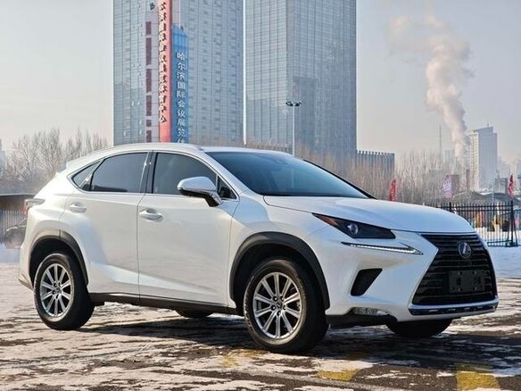 2021 Lexus NX 200 I Рестайлинг, белый, 3750000 рублей - вид 2