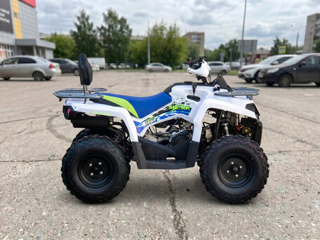 2021 Motoland ATV 200 Shark, белый, 203700 рублей, вид 2