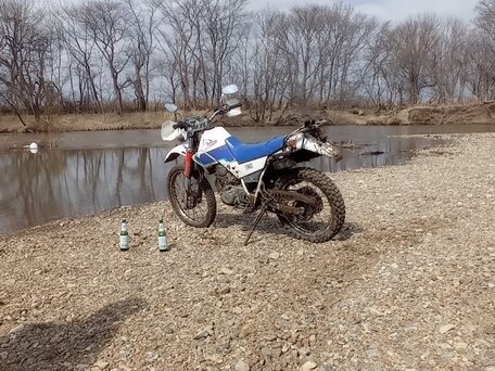 1993 Yamaha XT225 Serow, белый, 150000 рублей, вид 4