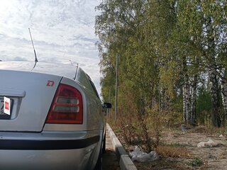 2002 Skoda Octavia I (A4) Рестайлинг, серебристый, 370000 рублей, вид 4