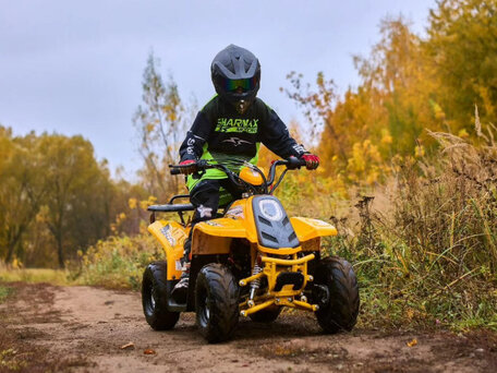 2023 Sharmax Cross, жёлтый, 67100 рублей, вид 5