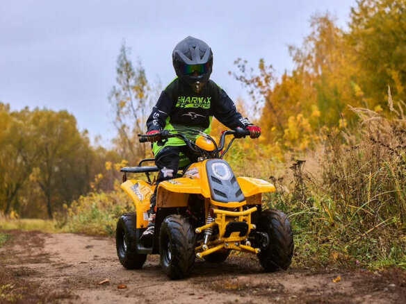 2023 Sharmax Cross, жёлтый, 67100 рублей - вид 4