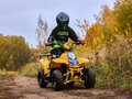2023 Sharmax Cross, жёлтый, 67100 рублей - вид 4