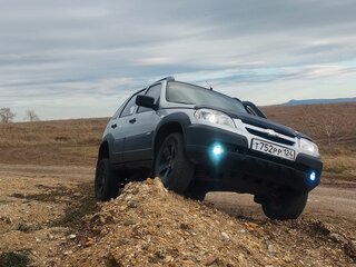 2014 Chevrolet Niva I Рестайлинг, серый, 650000 рублей, вид 1