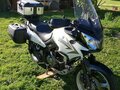 2010 Suzuki V-Strom DL 650, белый - вид 2