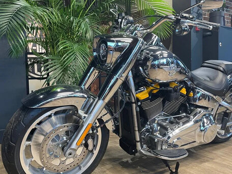 2025 Harley-Davidson Fat Boy, серебристый, 6000000 рублей, вид 4