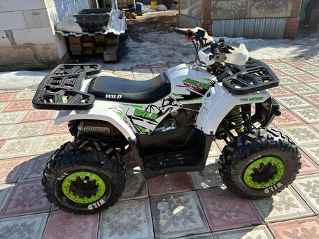 2023 Motoland Wild 125, белый, 75000 рублей, вид 3