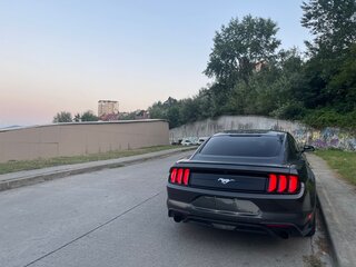 2019 Ford Mustang VI Рестайлинг, серый, 3600000 рублей, вид 3