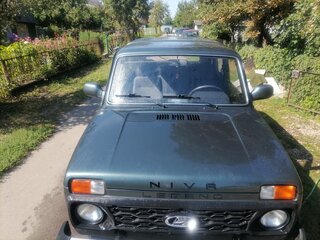 2010 Lada (ВАЗ) 2131 (4x4) Рысь I, серый, 593000 рублей, вид 2