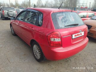 2005 Kia Cerato I, красный, 268000 рублей, вид 4