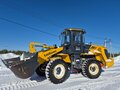 2024 LiuGong CLG 835H, жёлтый, 4200000 рублей