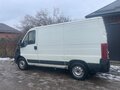 2009 Fiat Professional Ducato, белый, 700000 рублей - вид 2