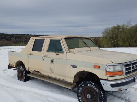 1995 Ford F-250, бежевый, 550000 рублей, вид 3