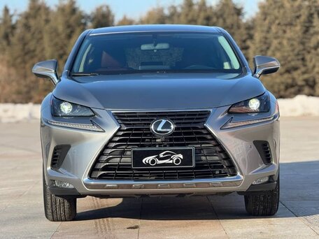 2021 Lexus NX 200 I Рестайлинг, серый, 3550000 рублей, вид 2