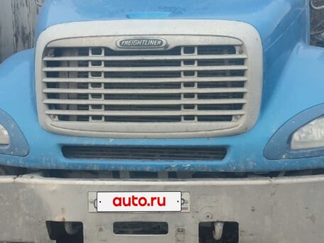 2005 Freightliner Columbia, голубой, 850000 рублей, вид 5