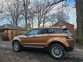 2014 Land Rover Range Rover Evoque 9-speed I, золотистый, 1790000 рублей - вид 10