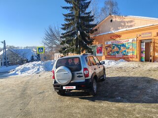 2012 Chevrolet Niva I Рестайлинг, серебристый, 450000 рублей, вид 2