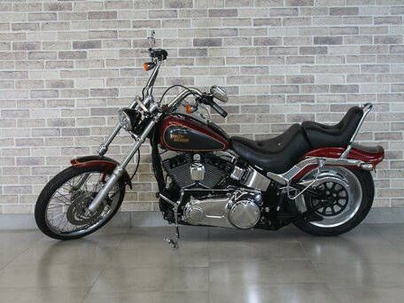 2007 Harley-Davidson Softail Custom, серый, 812000 рублей, вид 1
