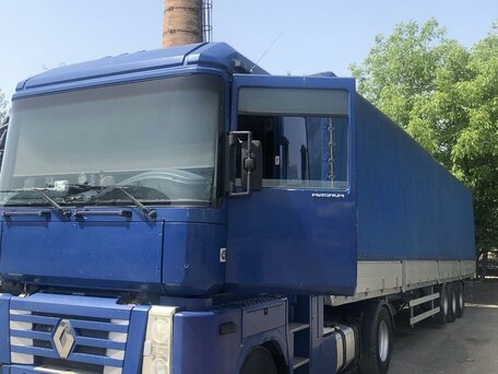 2000 Renault Magnum, синий, 1250000 рублей, вид 1
