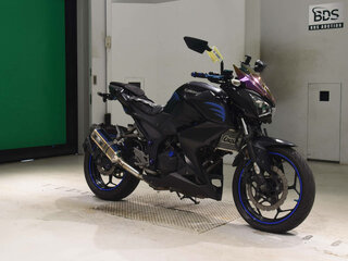 2013 Kawasaki Z 250, чёрный, 380000 рублей, вид 5