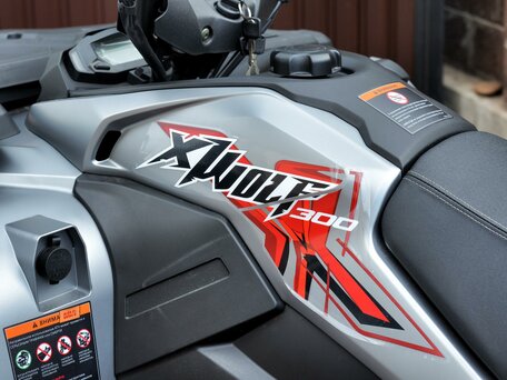 2026 Loncin XWolf 300, серый, 485000 рублей, вид 5