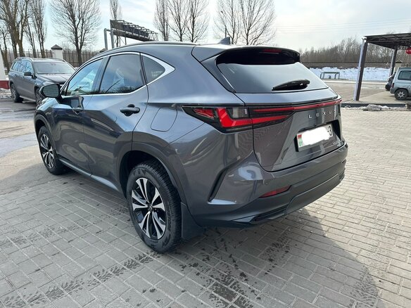 2023 Lexus NX 450h+ II, серый, 4084000 рублей - вид 11