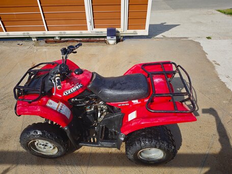 2008 Suzuki Ozark 250, красный, 219000 рублей, вид 5