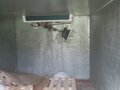 2015 ГАЗ ГАЗель Next, белый, 1200000 рублей - вид 8