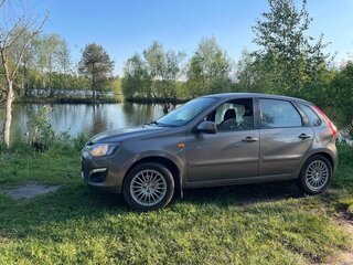 2015 Lada (ВАЗ) Kalina II, коричневый, 600000 рублей, вид 4