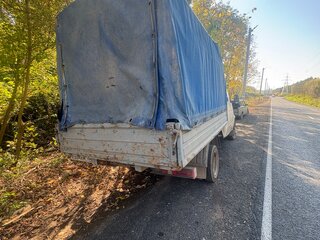 2006 ГАЗ ГАЗель (33023/330273) Фермер, белый, 460000 рублей, вид 4