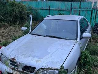 1998 Nissan Primera II (P11), серебристый, 50000 рублей, вид 1