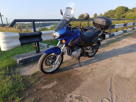 2001 Suzuki XF 650 Freewind, синий, 350000 рублей, вид 3
